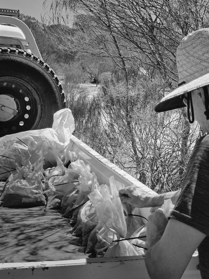 Bagged soil samples being loaded onto a field vehicle